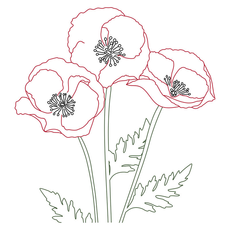 Poppy Trio Single Line Design